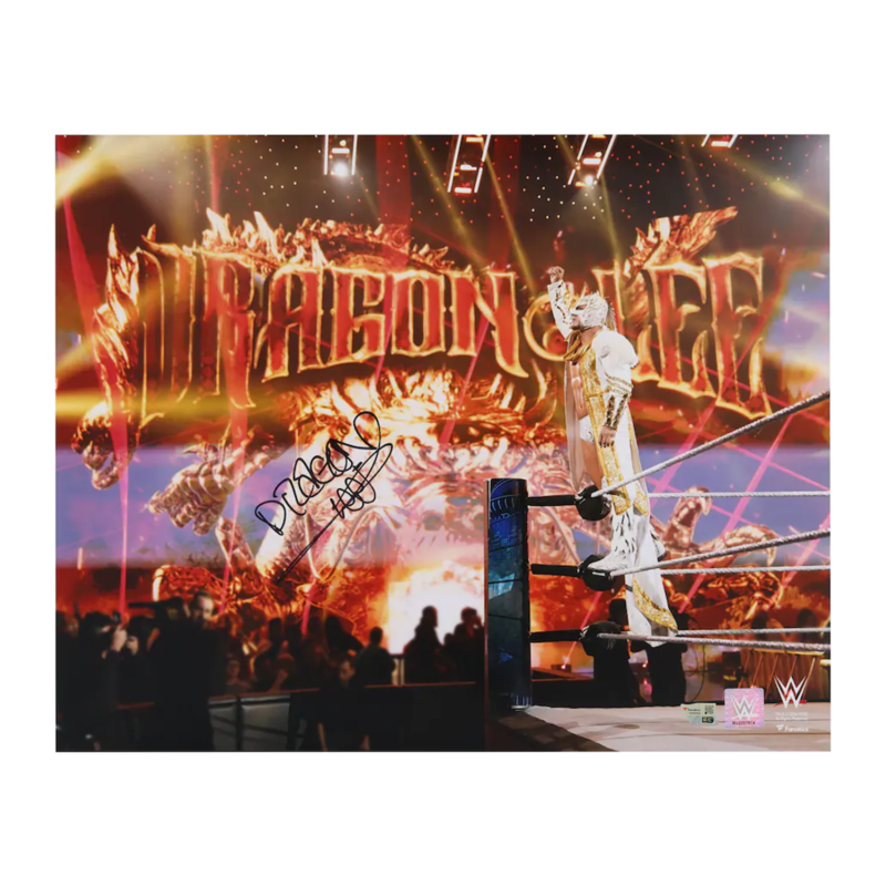 Dragon Lee Autographed WWE Entrance 16" x 20" Photograph Fanatics