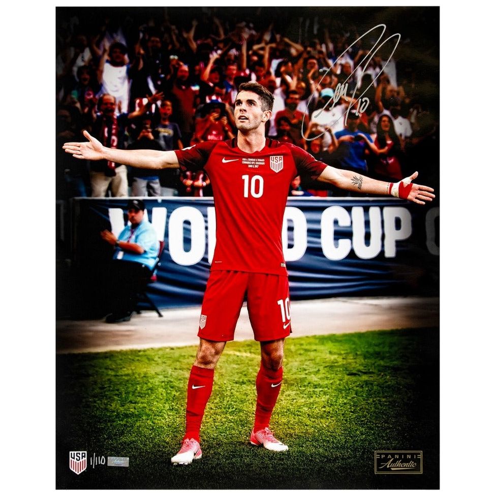 CHRISTIAN PULISIC Autographed "USA" 16" x 20" Photograph PANINI LE 110