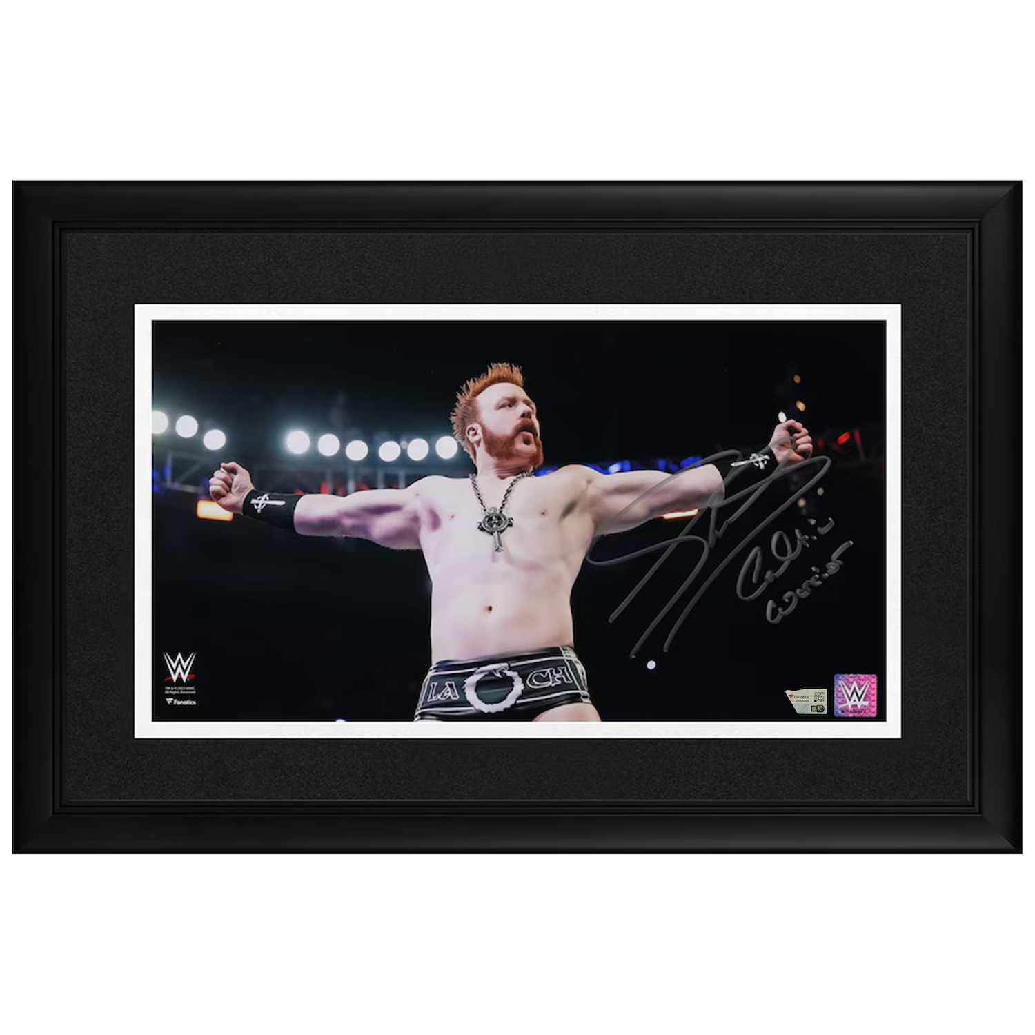 Sheamus Autographed "Celtic Warrior" Arms Out Framed 10" x 18" Display Fanatics