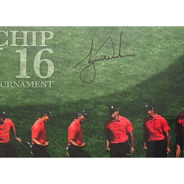 Tiger Woods Autographed "Chip at 16" Framed 41" x 20" Photograph UDA LE 116
