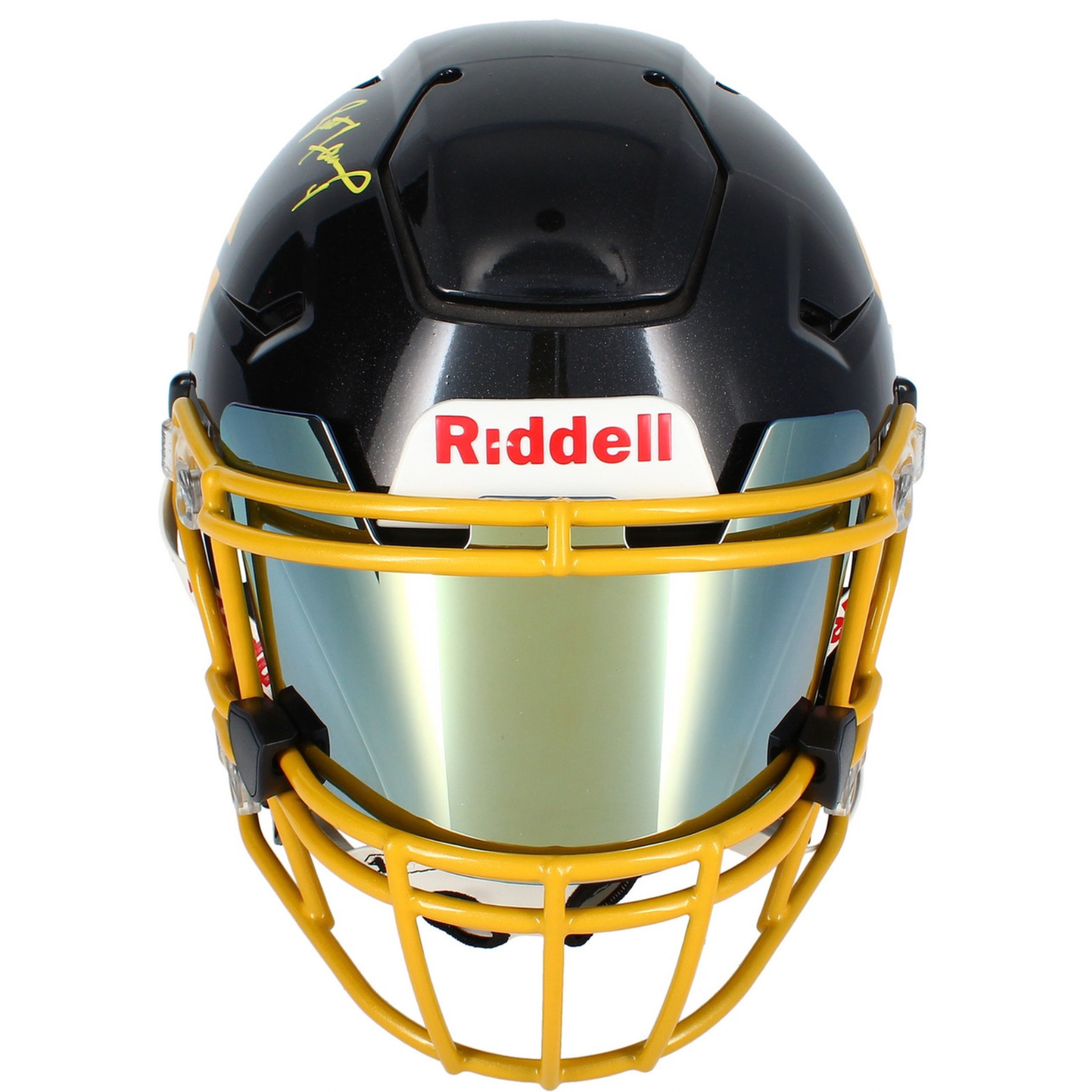 Brett Favre Autographed Green Bay Packers Sparkle Custom SpeedFlex Helmet RADTKE
