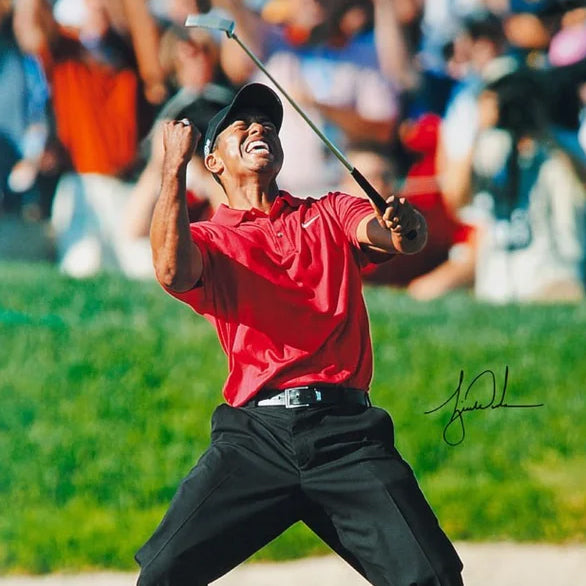 Tiger Woods