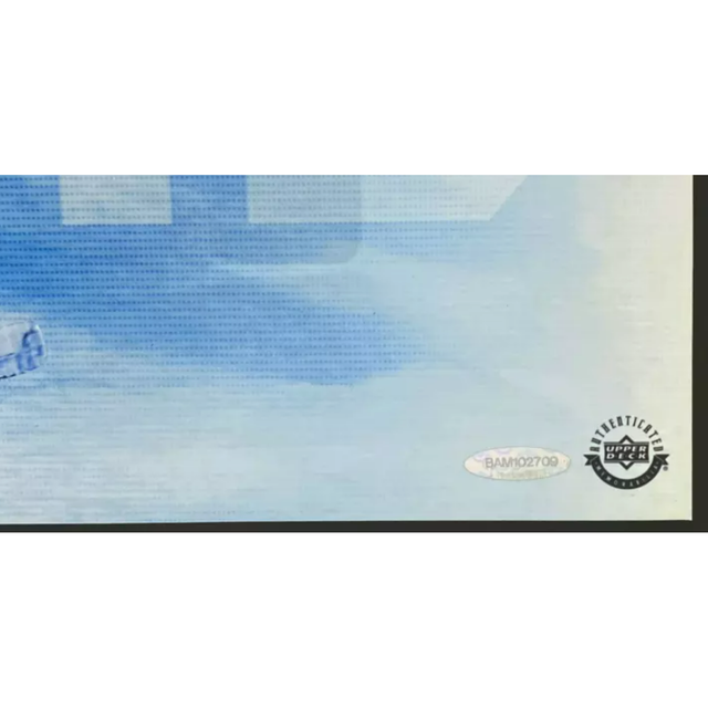 Connor McDavid Autographed Edmonton Oilers "Fire Speed"  16" x 30" Framed 12" x 26" Photo UDA