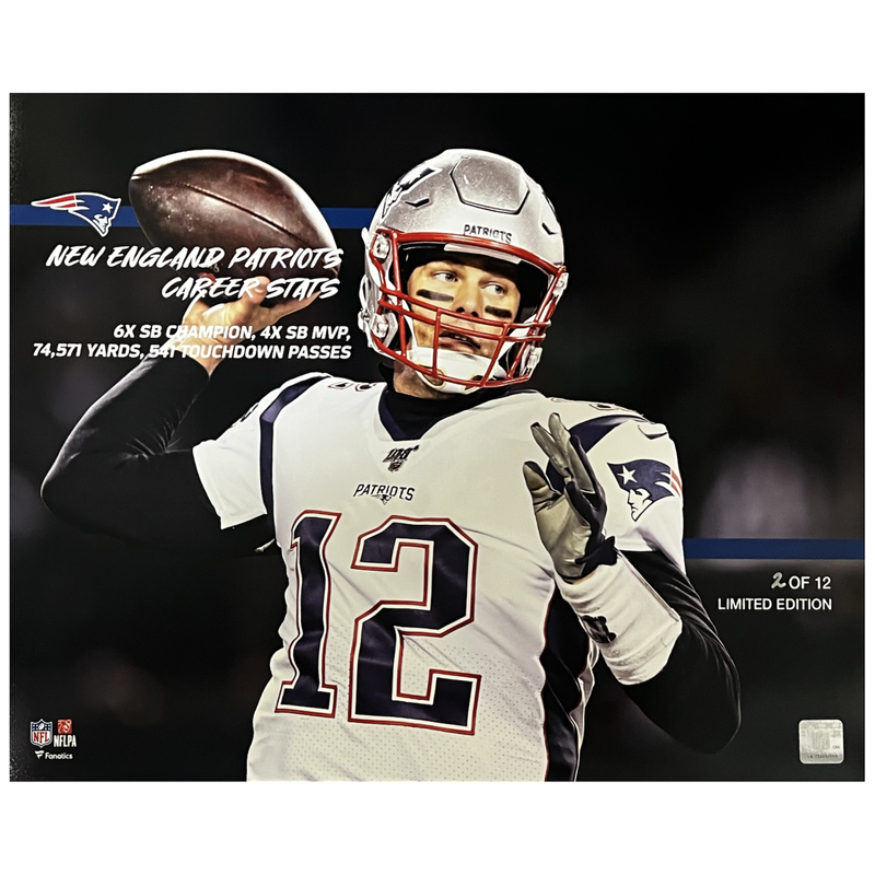 Tom Brady Unsigned Patriots Career Stats 16" x 20" Photograph LE 12