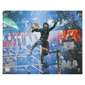 Descriptive image text