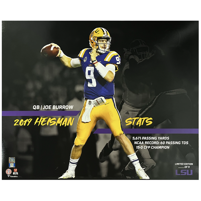 Joe Burrow Unsigned LSU Tigers Career Stat 16" x 20" Photograph