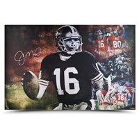 Joe Montana Autographed 49ers "Cool Joe" 36" x 24" Photograph UDA LE 50