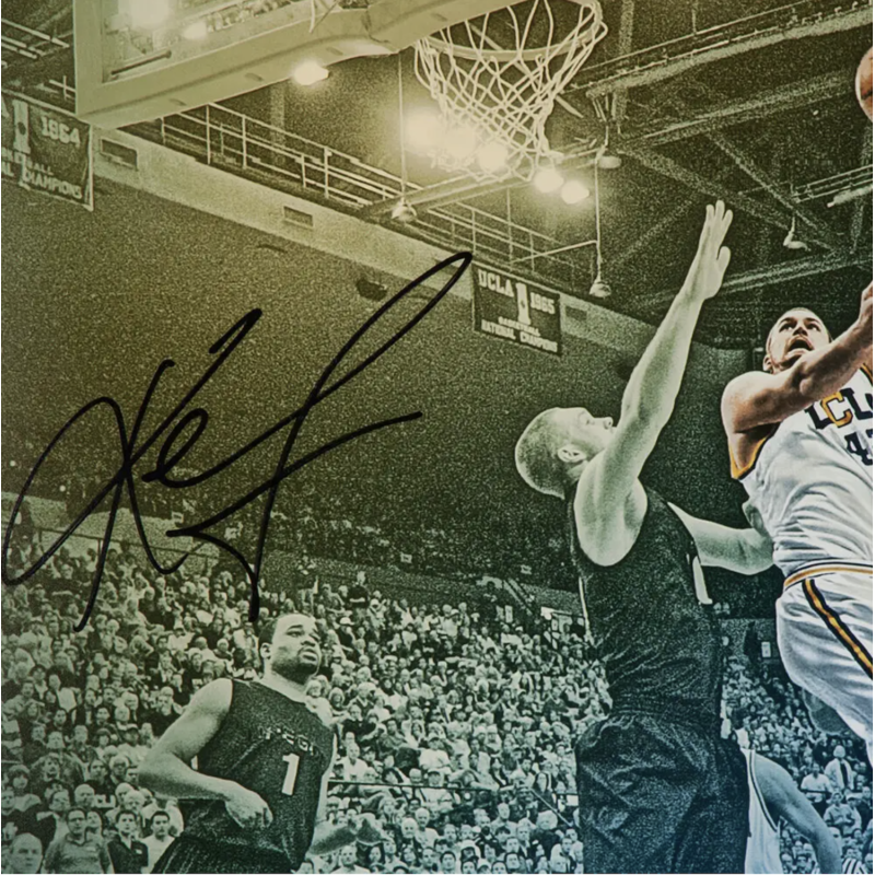 Kevin Love Autographed UCLA "Westwood Colors" 16 x 20 Photograph UDA