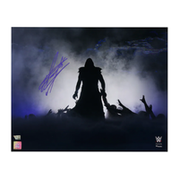 The Undertaker Autographed WWE WrestleMania 29 Entrance 16" x 20" Photo Fanatics