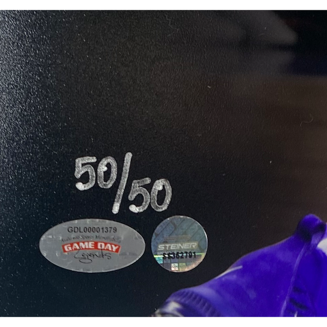 Deandre Ayton Autographed Suns "Over LeBron" 16" x 20" Photo LE 50/50 Steiner