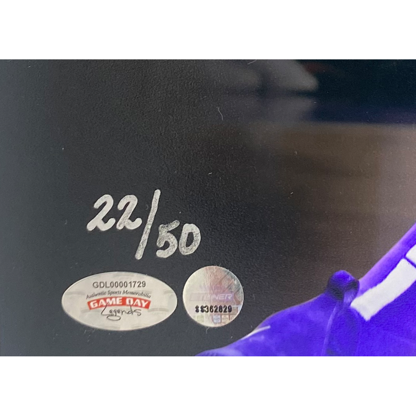 Deandre Ayton Autographed Suns "Over LeBron" 16" x 20" Photo LE 22/50 Steiner