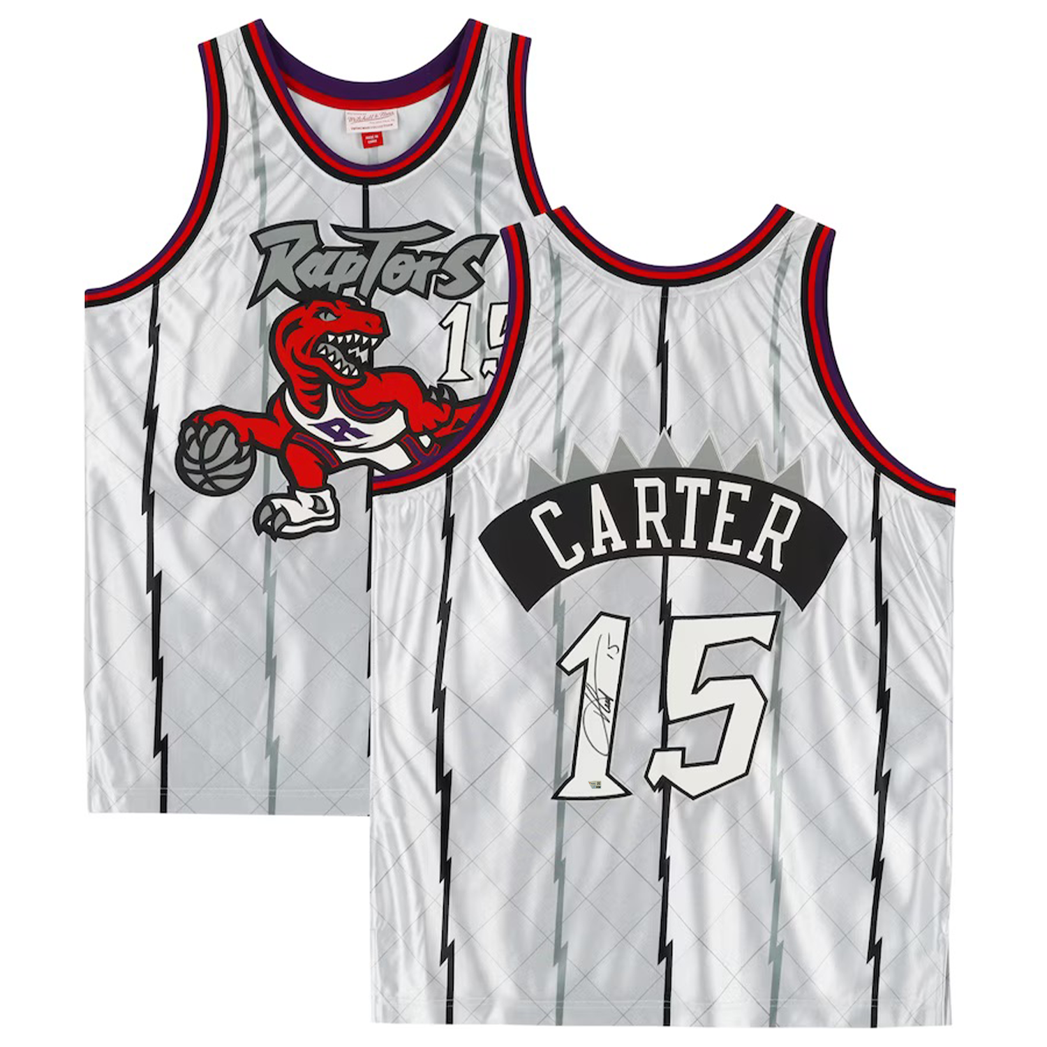 Vince Carter Autographed Toronto Raptors M&N Platinum Swingman Jersey Fanatics