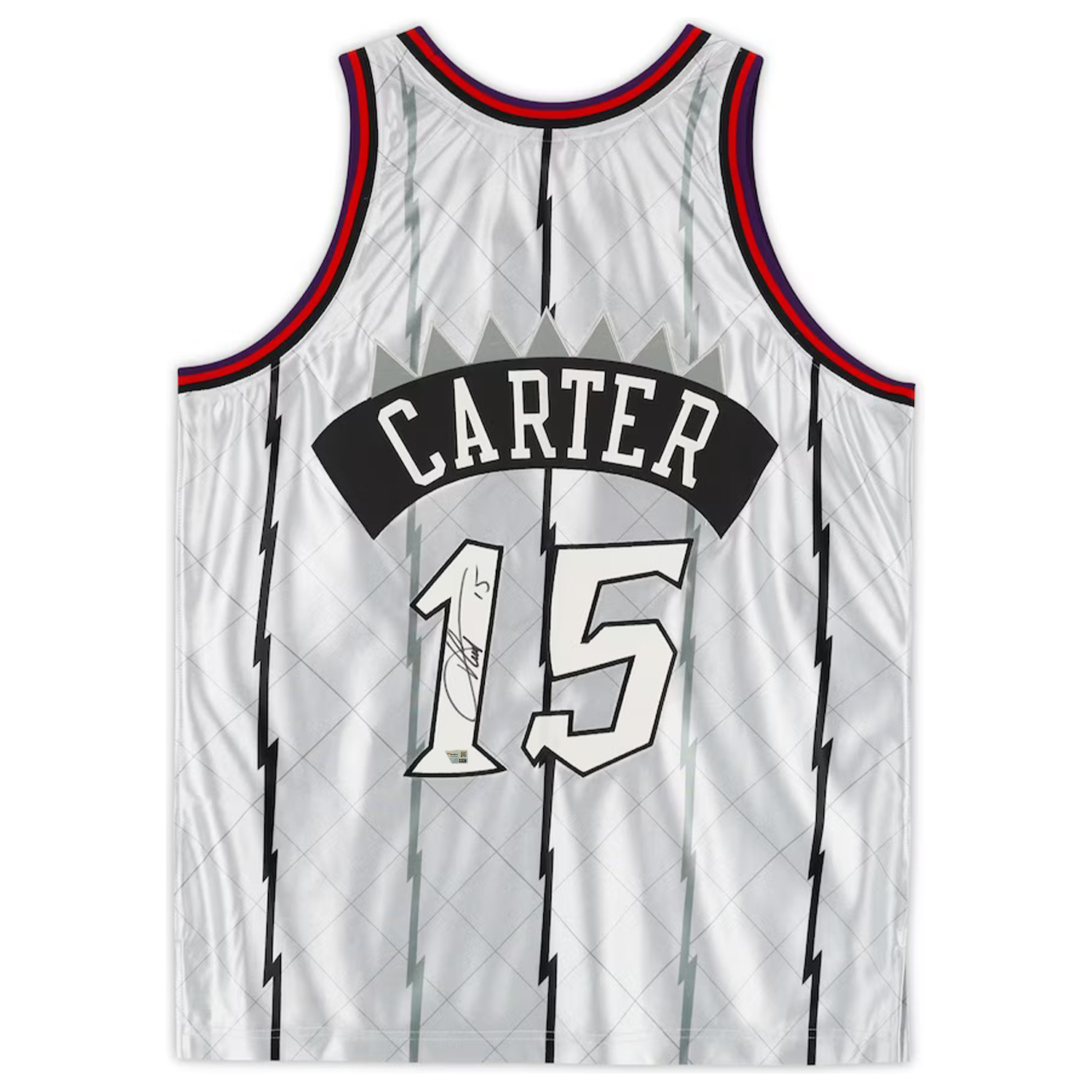 Vince Carter Autographed Toronto Raptors M&N Platinum Swingman Jersey Fanatics