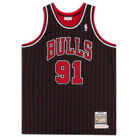 Dennis Rodman Autographed Chicago Bulls Pinstripe Authentic Jersey Fanatics