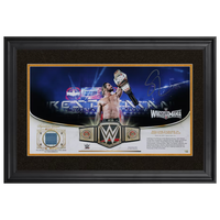 Seth Rollins Autographed WWE Match Used Canvas Framed 10" x 18" Display Fanatics