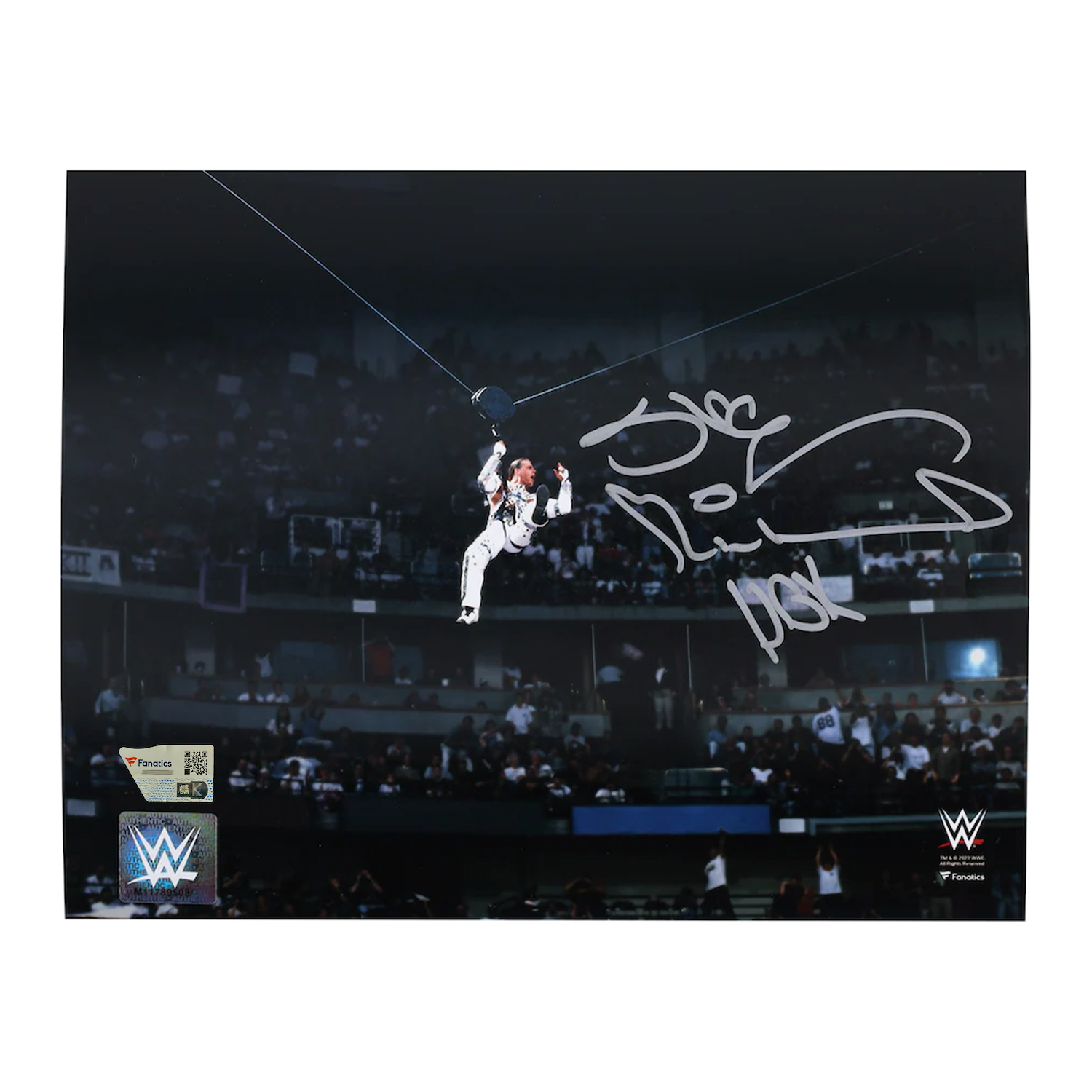 Shawn Michaels Autographed "HBK" WWE "Entrance" 8" x 10" Photograph Fanatics