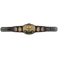 Stone Cold Steve Austin Autographed Replica WWE Championship Belt Fanatics