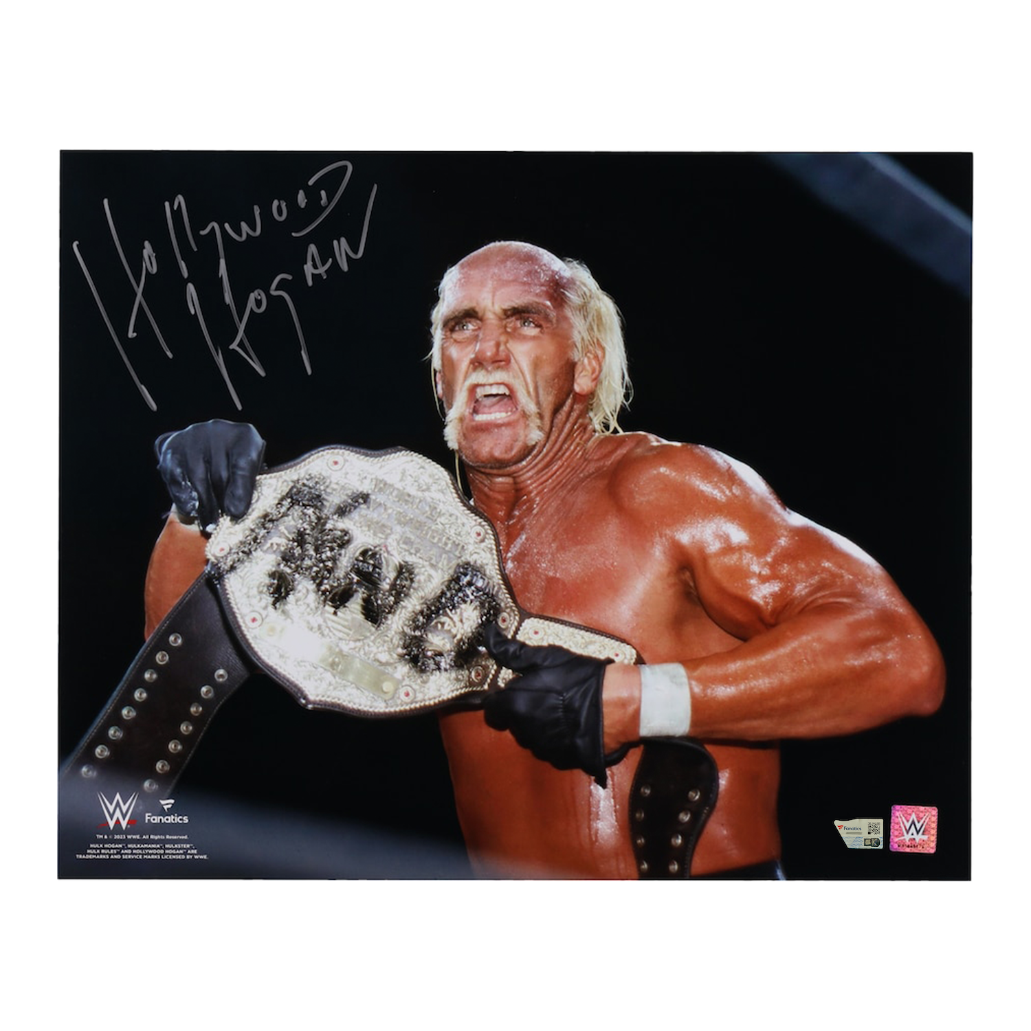Hollywood Hulk Hogan Autographed WWE NWO Title Belt" 16" x 20" Photo Fanatics