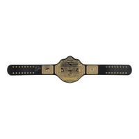 Ric Flair Autographed WWE Big Gold World Heavyweight Champ Title Belt Fanatics