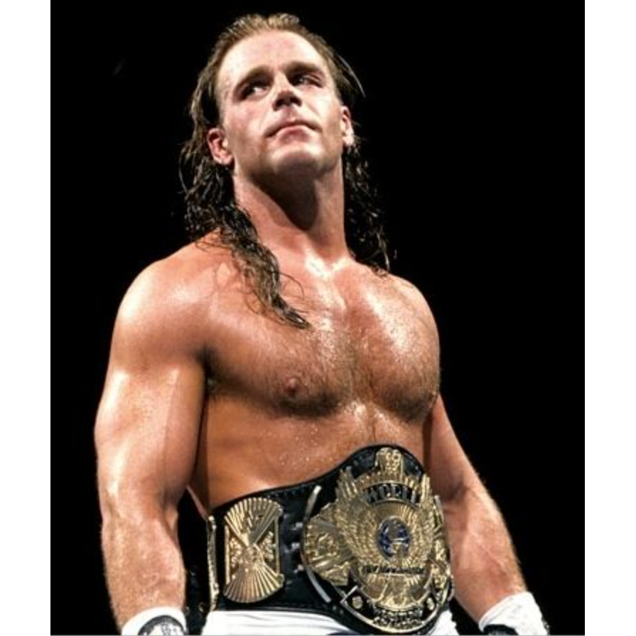 Shawn Michaels Autographed WWE Winged Eagle Replica Title Belt Fanatics