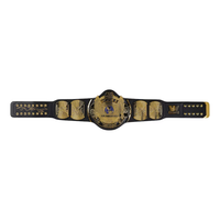 Shawn Michaels Autographed WWE Winged Eagle Replica Title Belt Fanatics