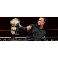 The Undertaker Autographed WWE Winged Eagle Championship Title Belt Fanatics