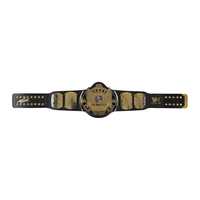 The Undertaker Autographed WWE Winged Eagle Championship Title Belt Fanatics