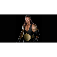 The Undertaker Autographed WWE Heavyweight Big Gold Champ Title Belt Fanatics