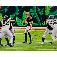 JOE BURROW Autographed Cincinnati Bengals In Pocket 16" x 20" Photograph FANATICS