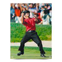 TIGER WOODS Autographed 2008 US Open Champ 30" x 40" Photograph UDA