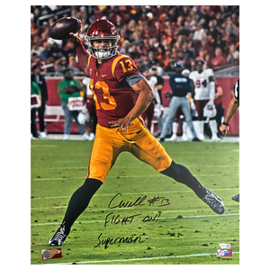 Descriptive image text