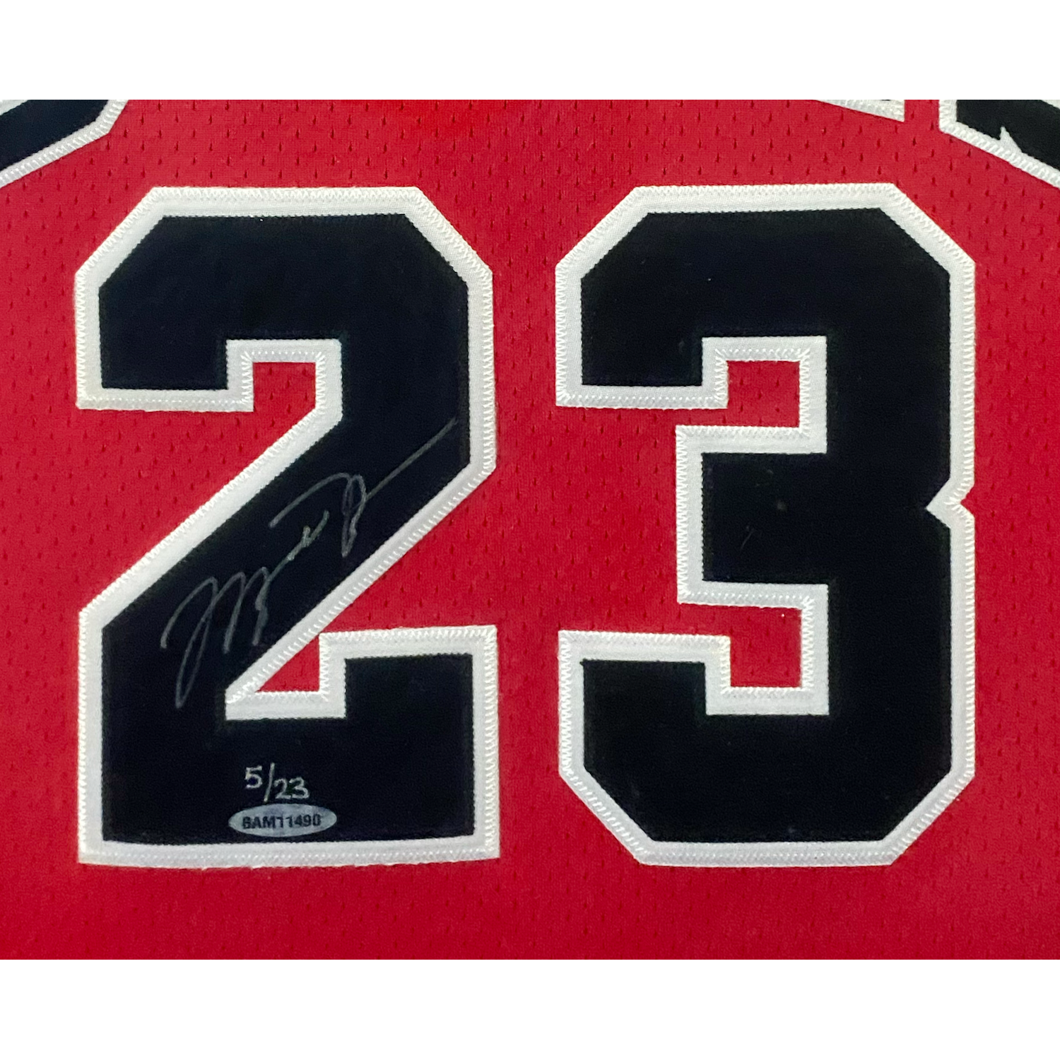 Michael Jordan Autographed 1991 Championship Patch Framed Chicago Bulls Jersey UDA LE 23