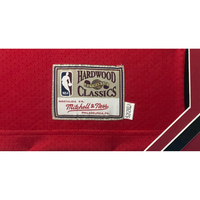 Michael Jordan Autographed 1991 Championship Patch Framed Chicago Bulls Jersey UDA LE 23