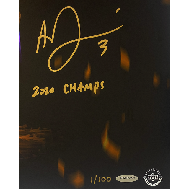 Anthony Davis Autographed Lakers "2020 Champs" 20" x 24" Photograph UDA LE 1/100