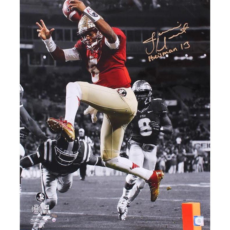 JAMEIS WINSTON Signed / Inscribed FSU Seminoles 20 x 24 Photo STEINER LE 13