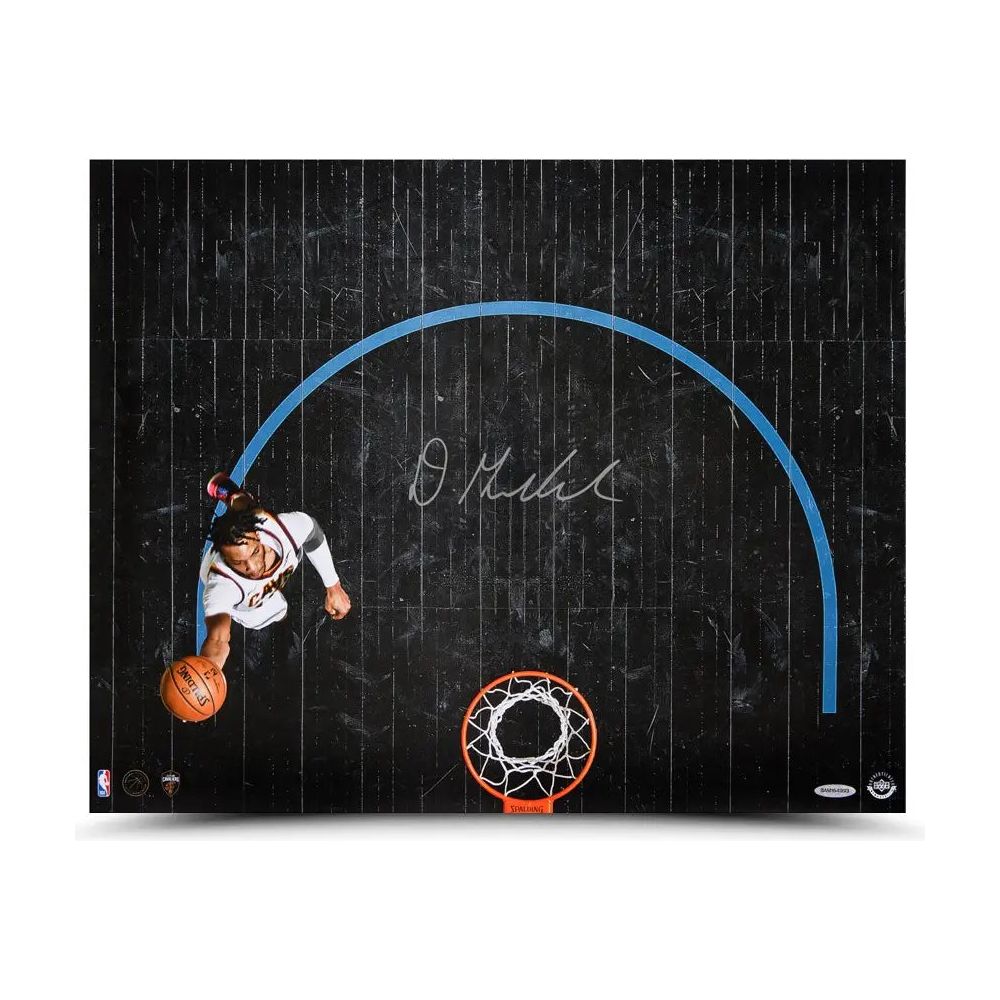 DARIUS GARLAND Autographed Cleveland Cavaliers “View From Above” 20x16 Photo UDA