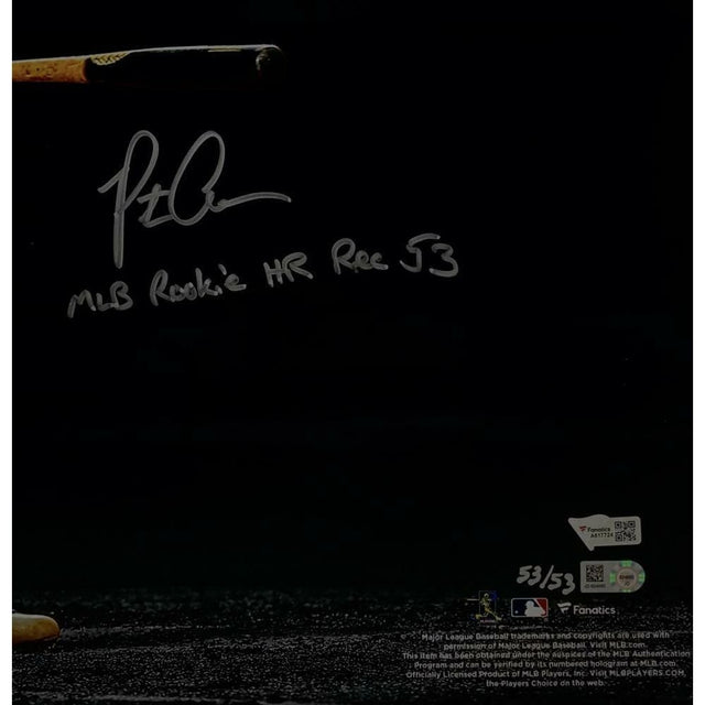 PETE ALONSO Autographed New York Mets MLB HR Rookie Rec 53 16x20 Photograph FANATICS LE 53/53