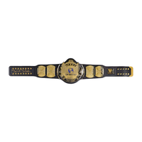 Stone Cold Steve Austin Autographed WWE "Winged Eagle"Championship Belt Fanatics